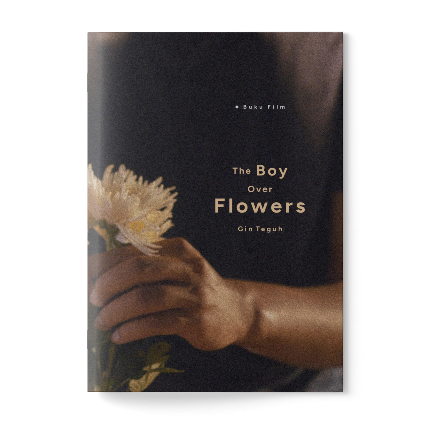 The Boy Over Flowers